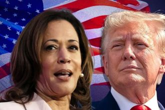 US elections: Will Harris pip Trump in White House race? What polls say