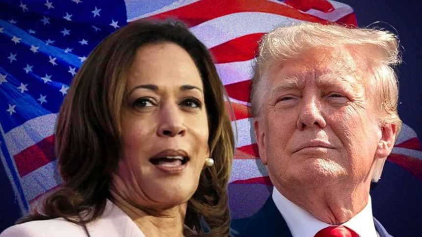 US elections: Will Harris pip Trump in White House race? What polls say