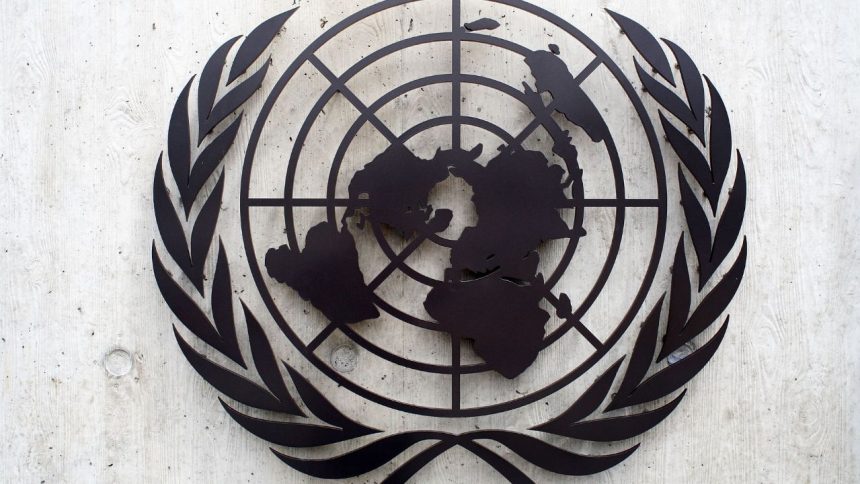 Hindi gains global prominence, UN ambassadors call for its promotion worldwide