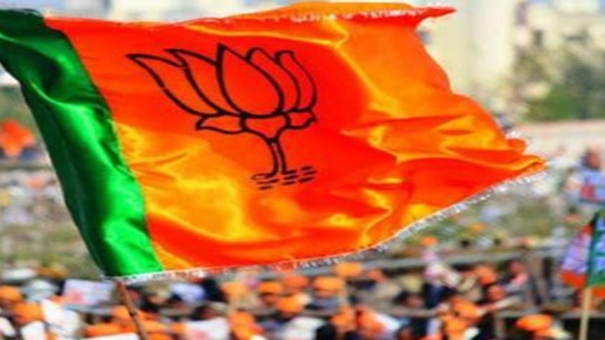 Delhi polls: BJP likely to field former MPs, turncoats; list likely this week