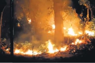 Mock drills in seven most sensitive districts of Uttarakhand to combat forest fires