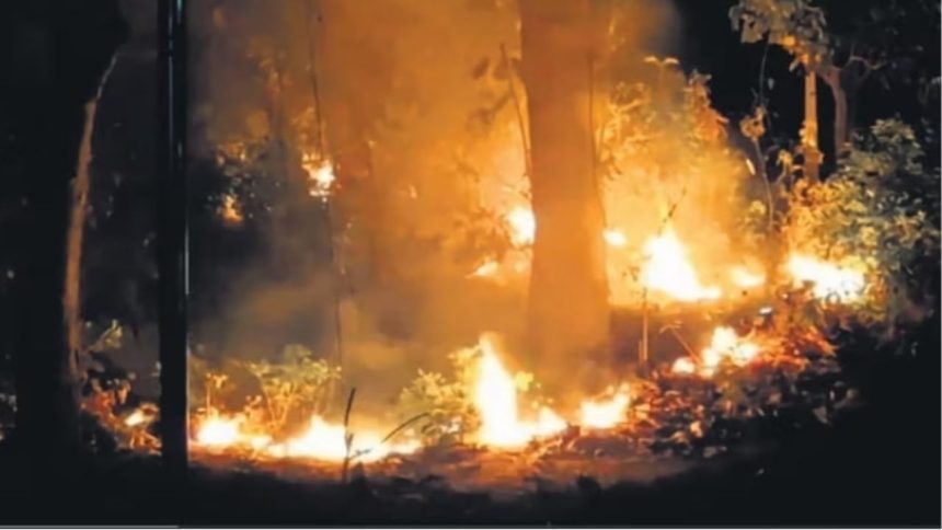 Mock drills in seven most sensitive districts of Uttarakhand to combat forest fires