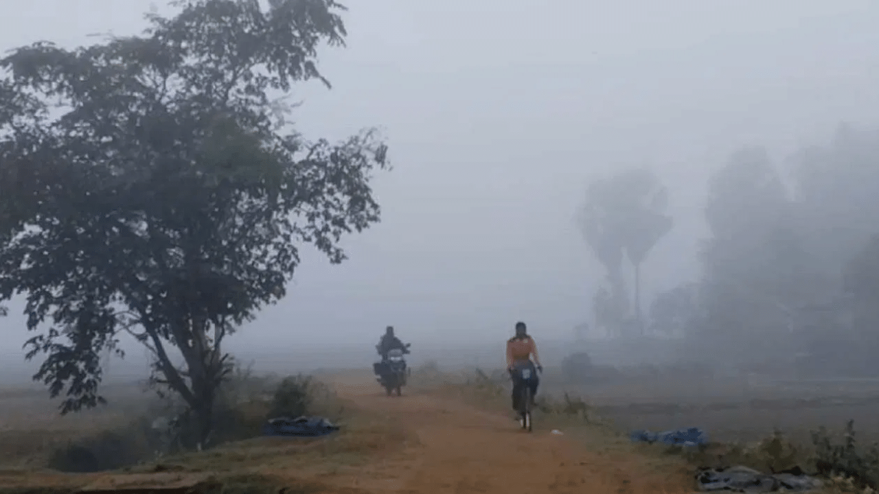 Kolkata sees pleasant day despite poor air quality; check today’s weather forecast