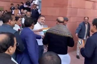 WATCH: Rahul hands Tricolour, rose to Rajnath Singh during protest outside Parliament