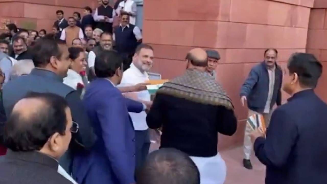 WATCH: Rahul hands Tricolour, rose to Rajnath Singh during protest outside Parliament