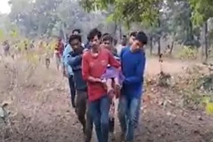 Woman killed in tiger attack while collecting wood in MP, patrol stepped up