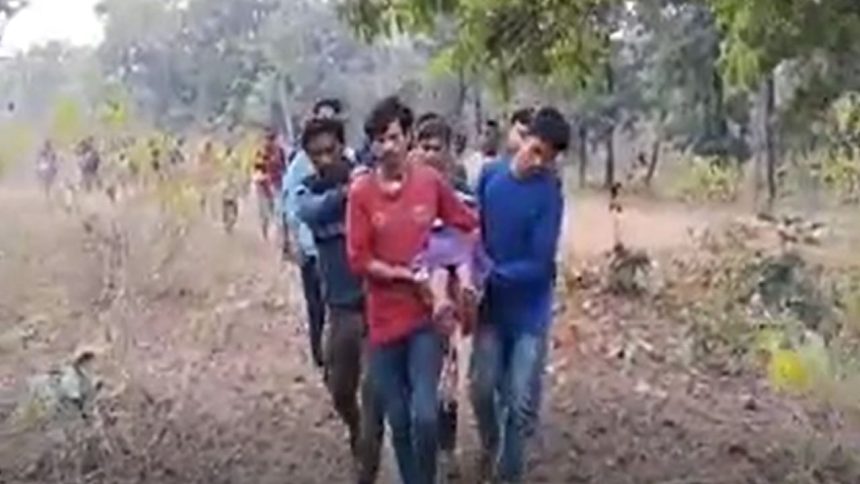 Woman killed in tiger attack while collecting wood in MP, patrol stepped up