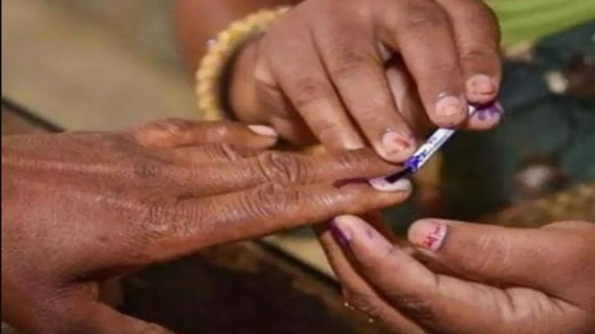 Requests for over 80K voter name deletions, 4.8 lakh new registrations: Delhi CEO