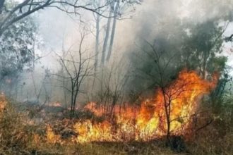 From 5,351 to 21,033: Uttarakhand faces record forest fire crisis this season