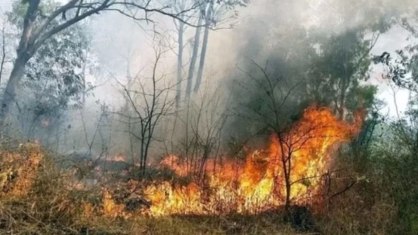 From 5,351 to 21,033: Uttarakhand faces record forest fire crisis this season