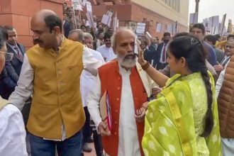 ‘No lapse…no weapon allowed’: CISF on December 19 Parliament scuffle