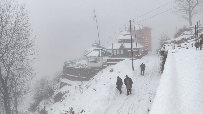 North India under grip of severe cold wave; more snowfall likely in higher reaches