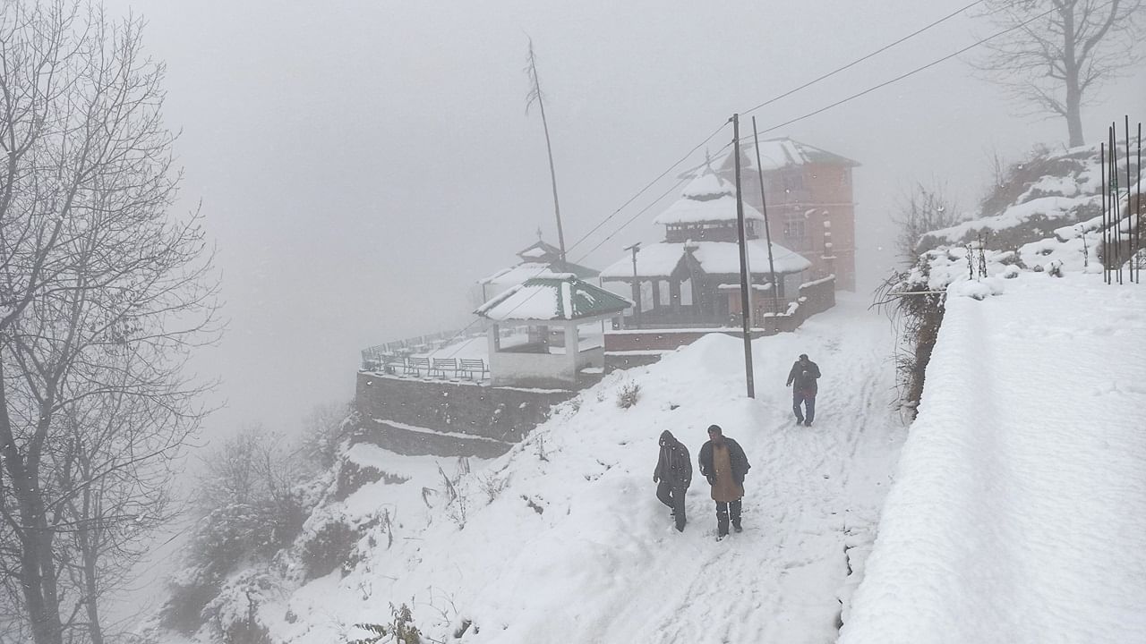 North India under grip of severe cold wave; more snowfall likely in higher reaches