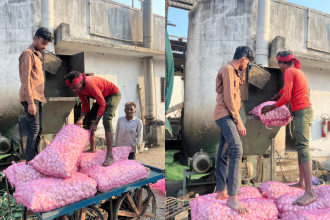 2,150 kg of Chinese garlic seized from Surat APMC, stock destroyed