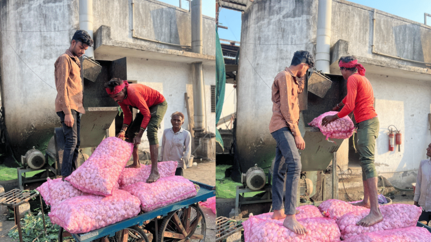 2,150 kg of Chinese garlic seized from Surat APMC, stock destroyed