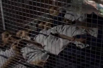 Children in this Gujarat village are sleeping in cages – Reason? leopard attacks