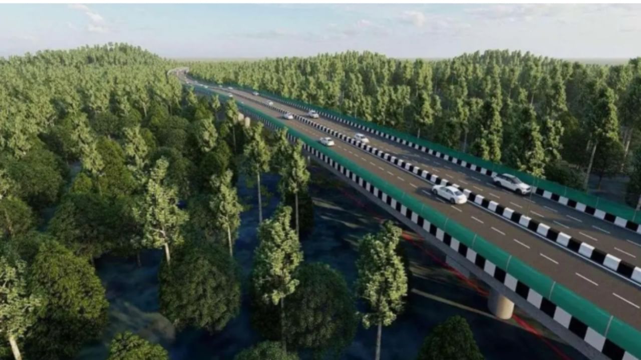 Special lights on Dehradun-Delhi expressway to protect wildlife and reduce human impact Special lights on Dehradun-Delhi expressway to protect wildlife and reduce human impact
