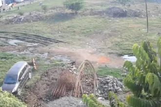 11-year-old girl viciously bitten by pack of dogs in Maharashtra’s Nashik | Video