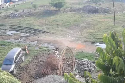 11-year-old girl viciously bitten by pack of dogs in Maharashtra’s Nashik | Video