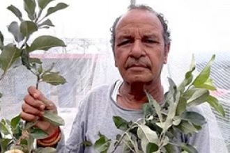Hariman Sharma: Padma Shree award for farmer who brought apples to plains
