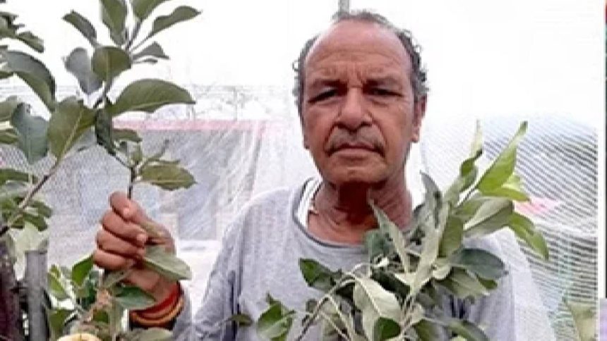 Hariman Sharma: Padma Shree award for farmer who brought apples to plains