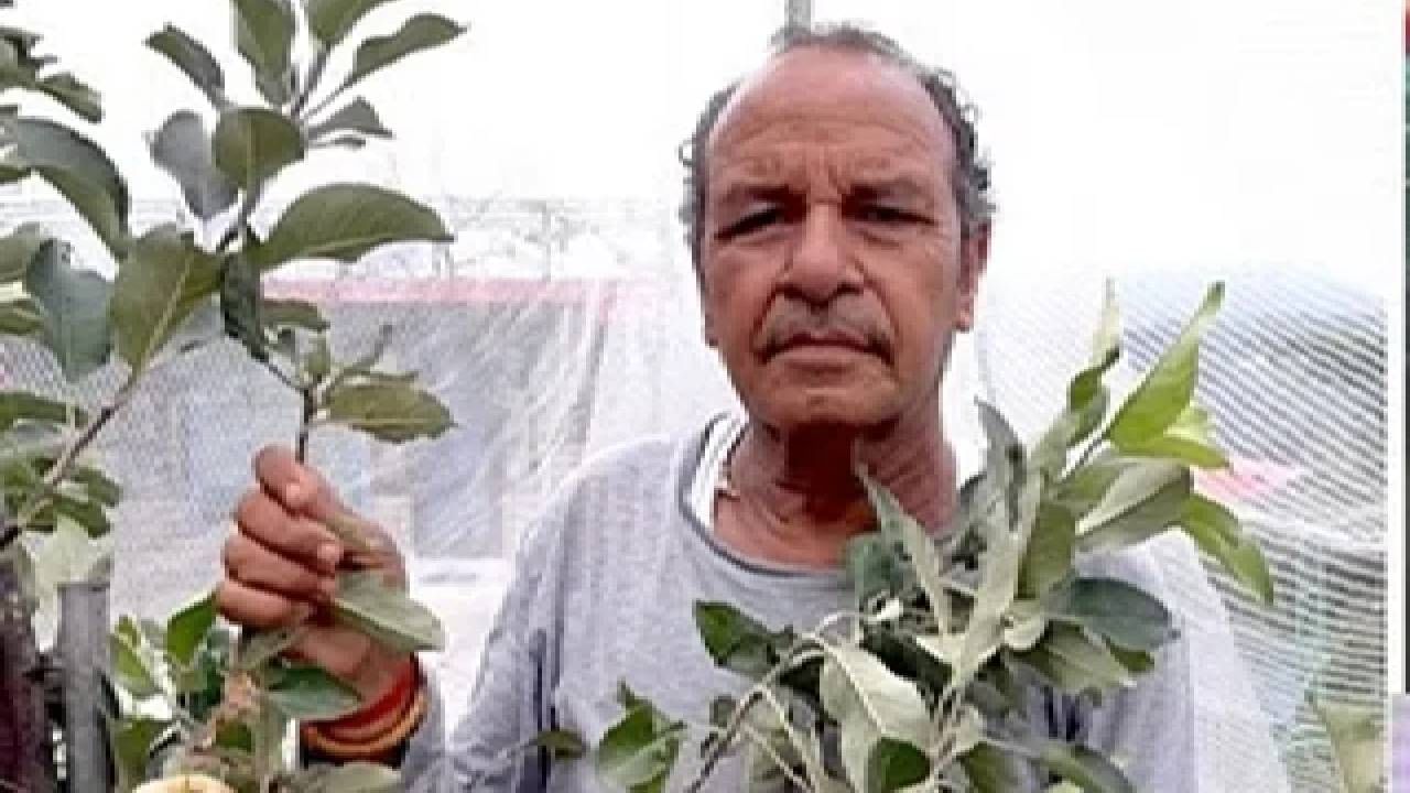 Hariman Sharma: Padma Shree award for farmer who brought apples to plains
