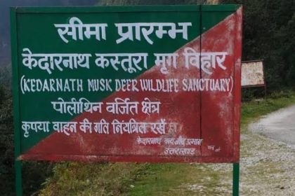 Uttarakhand: Centre rejects soapstone mining project near Kedarnath Wildlife Sanctuary