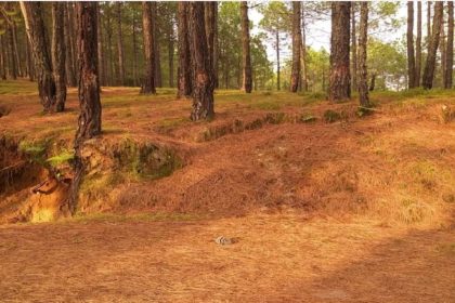 Seven new ‘Pirul’ briquettes units in Uttarakhand to prevent wildfires this season