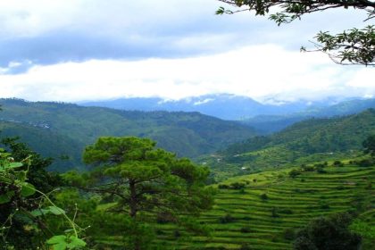 Uttarakhand adopts unique solutions for UCC implementation in areas without internet