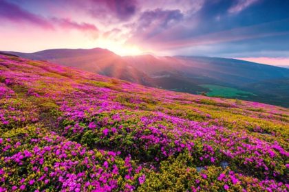 Amid heavy snowfall, Uttarakhand’s Valley of Flowers hopes for rare flowers blooming