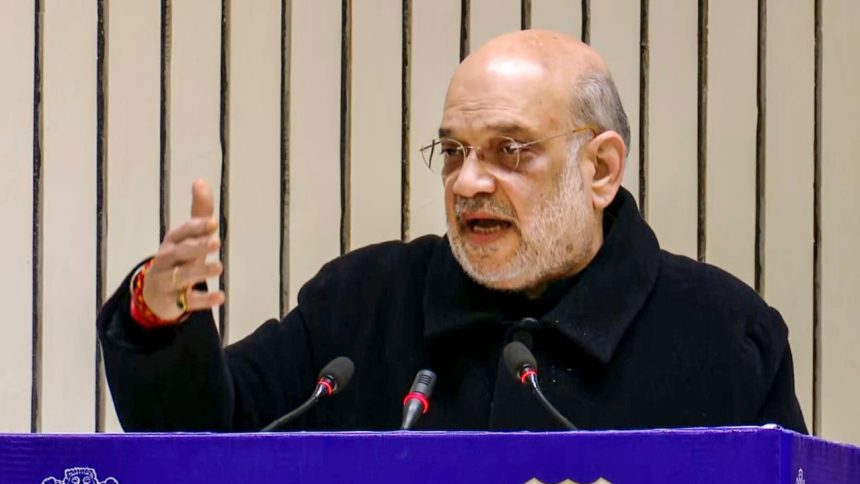 Amit Shah slams AAP as ‘AAPda’, promises BJP will tackle Delhi’s issues if elected