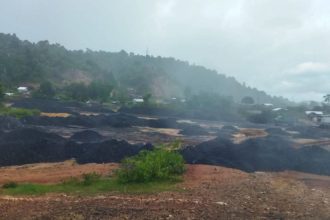 Several labourers stuck as water floods ‘rat hole’ mine in Assam, rescue teams at site