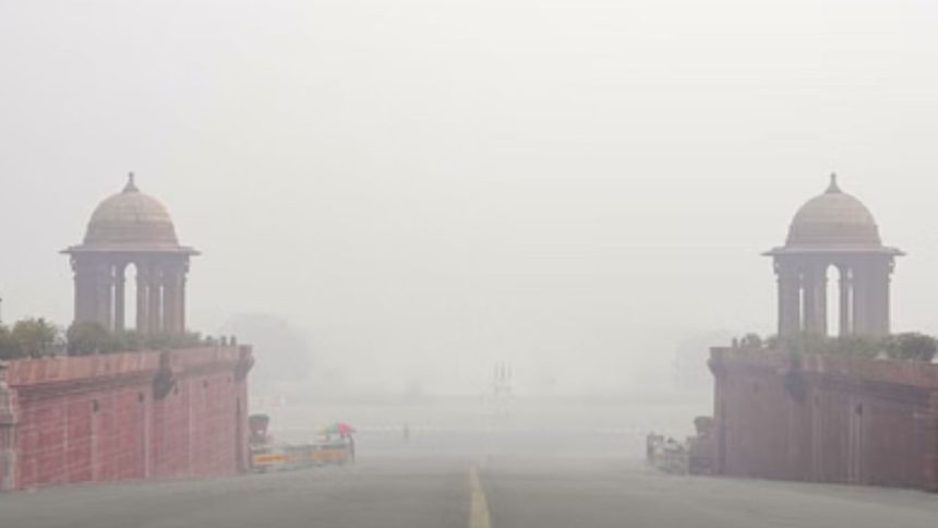 Severe cold wave grips North India; dense fog, hailstorms alerts issued for 10 states
