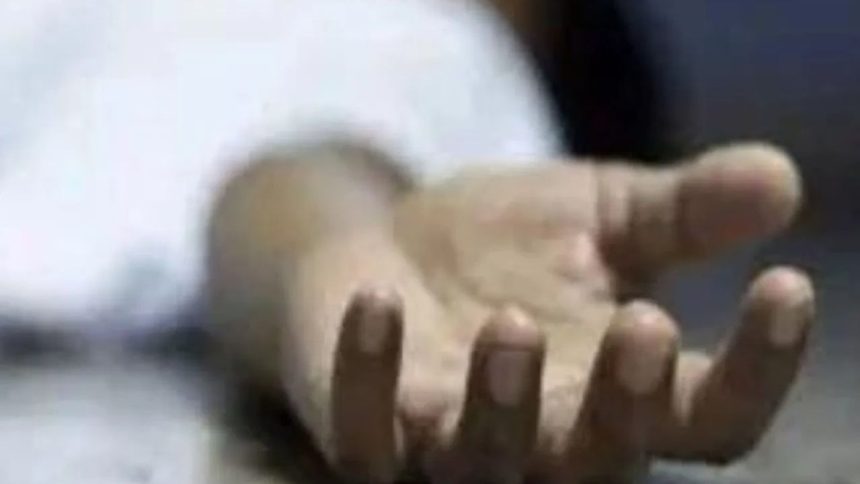Madhya Pradesh man takes own life, accuses wife of mental torture in video