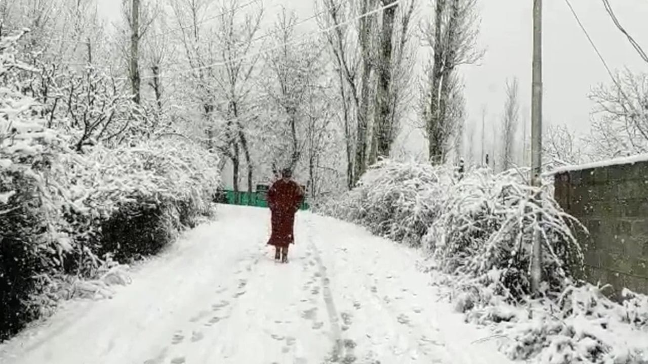 North India weather: Heavy snowfall expected in J&K; thunderstorm likely in Punjab
