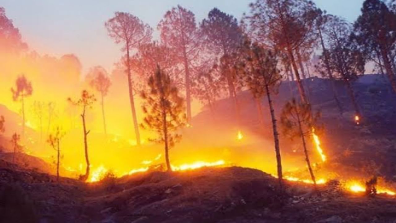 For wildfire prevention, Uttarakhand forest department assigns senior officials as nodal officers
