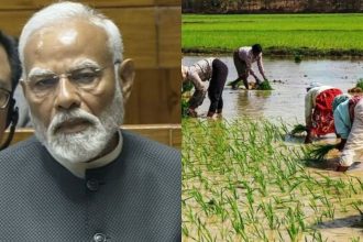 PM-Kisan Samman Nidhi: PM Modi to release 19th instalment in Bihar’s Bhagalpur