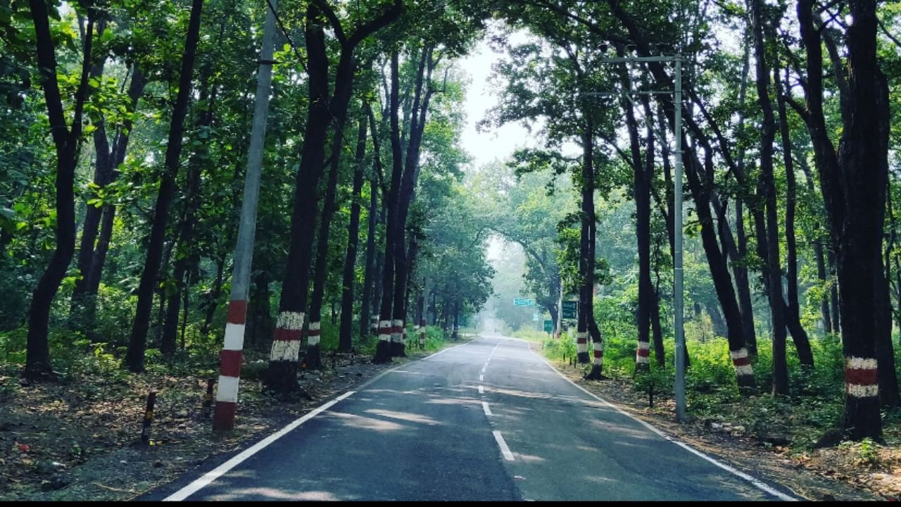 Alternative route to airport from Dehradun to become four-lane; proposal sent to govt Alternative route to airport from Dehradun to become four-lane; proposal sent to govt