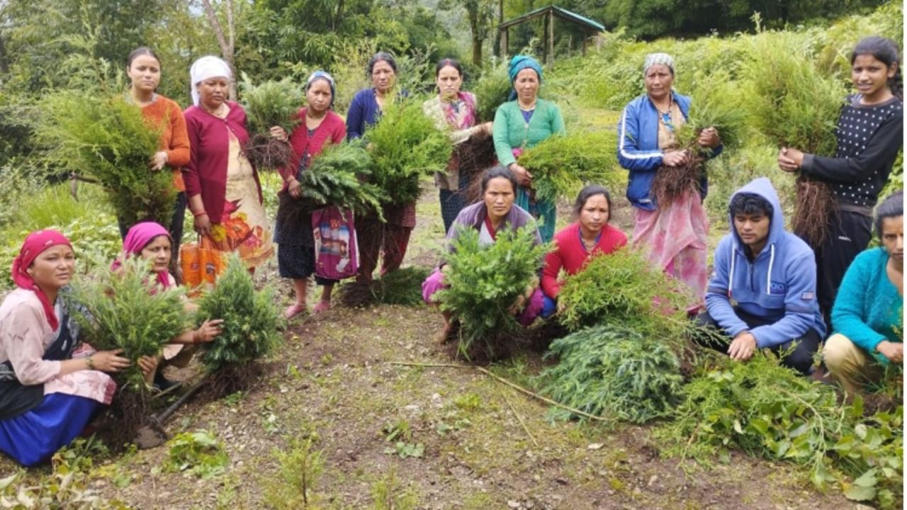 Uttarakhand links 500 Van Panchayats with Herbal Mission, connects people with forest