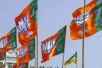 ‘Dil valo ki Delhi ko..’: BJP releases campaign song for Delhi election | Watch