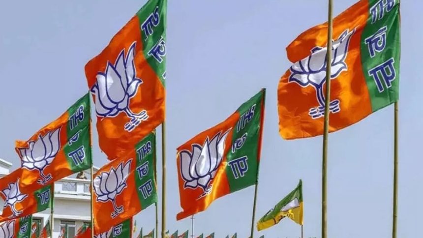 ‘Dil valo ki Delhi ko..’: BJP releases campaign song for Delhi election | Watch
