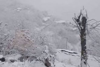 Snowfall, rain in hills; Uttarakhand experiences sudden weather change today, IMD issues alert