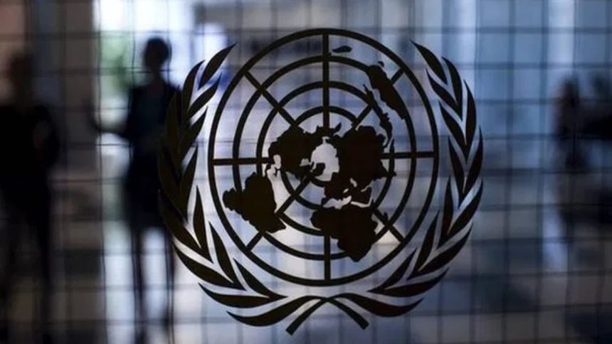 Islamic State unable to mount large-scale attacks in India: UN 1 Islamic State unable to mount large-scale attacks in India: UN
