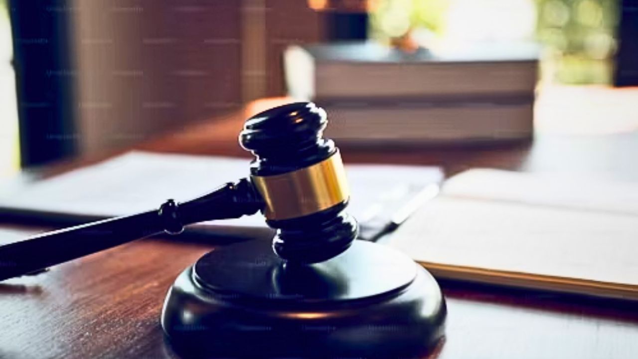 Mumbai woman jailed for calling judges ‘dog mafia’ Mumbai woman jailed for calling judges ‘dog mafia’