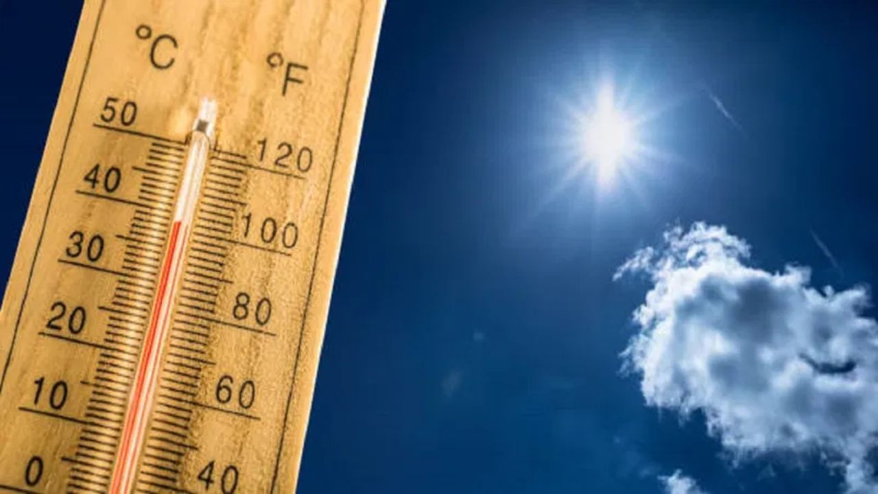 Temperature soars over 45°C in Barmer, IMD issues alerts in Delhi, UP, Rajasthan