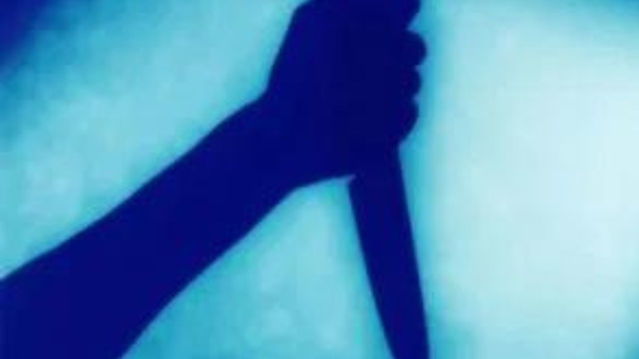 Mysuru tech entrepreneur kills wife, son in US; dies by suicide: Report