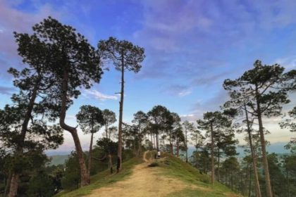 Crank’s Ridge: Mystical place in Uttarakhand’s Almora that drew author DH Lawrence and inspired Uma Thurman’s name
