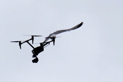 Drone activity witnessed along Internal Border, officials say situation ‘under control’