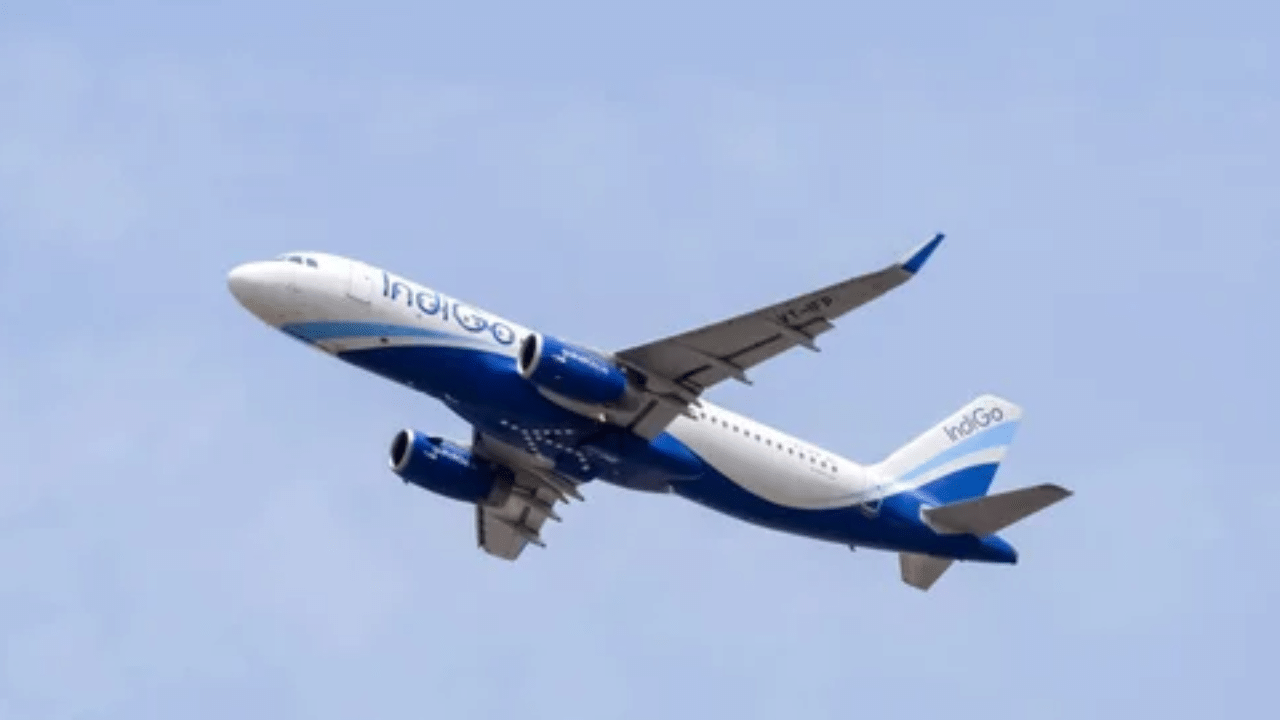 Government orders IndiGo to end aircraft lease with Turkish Airlines by August 31