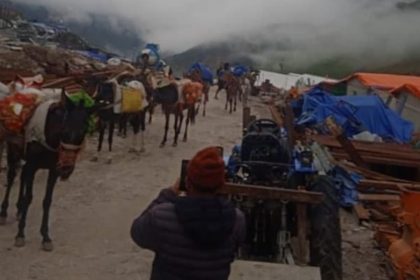 Mysterious deaths of 14 Horses & Mules in Kedarnath spark concern; Investigation underway, temporary halt of 24 hours